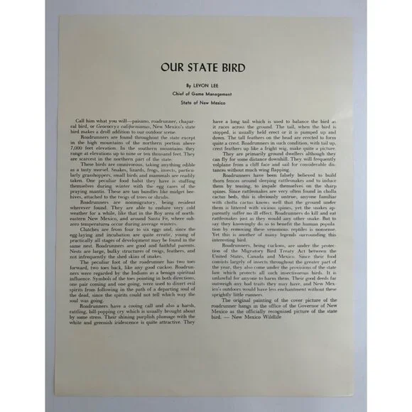 Roadrunner Art Print Radovich 1962 Framed 8x10 Desert Landscape Cactus Flowers - Picture 4 of 7